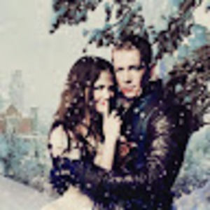 Meet your Posher, Cheyenne